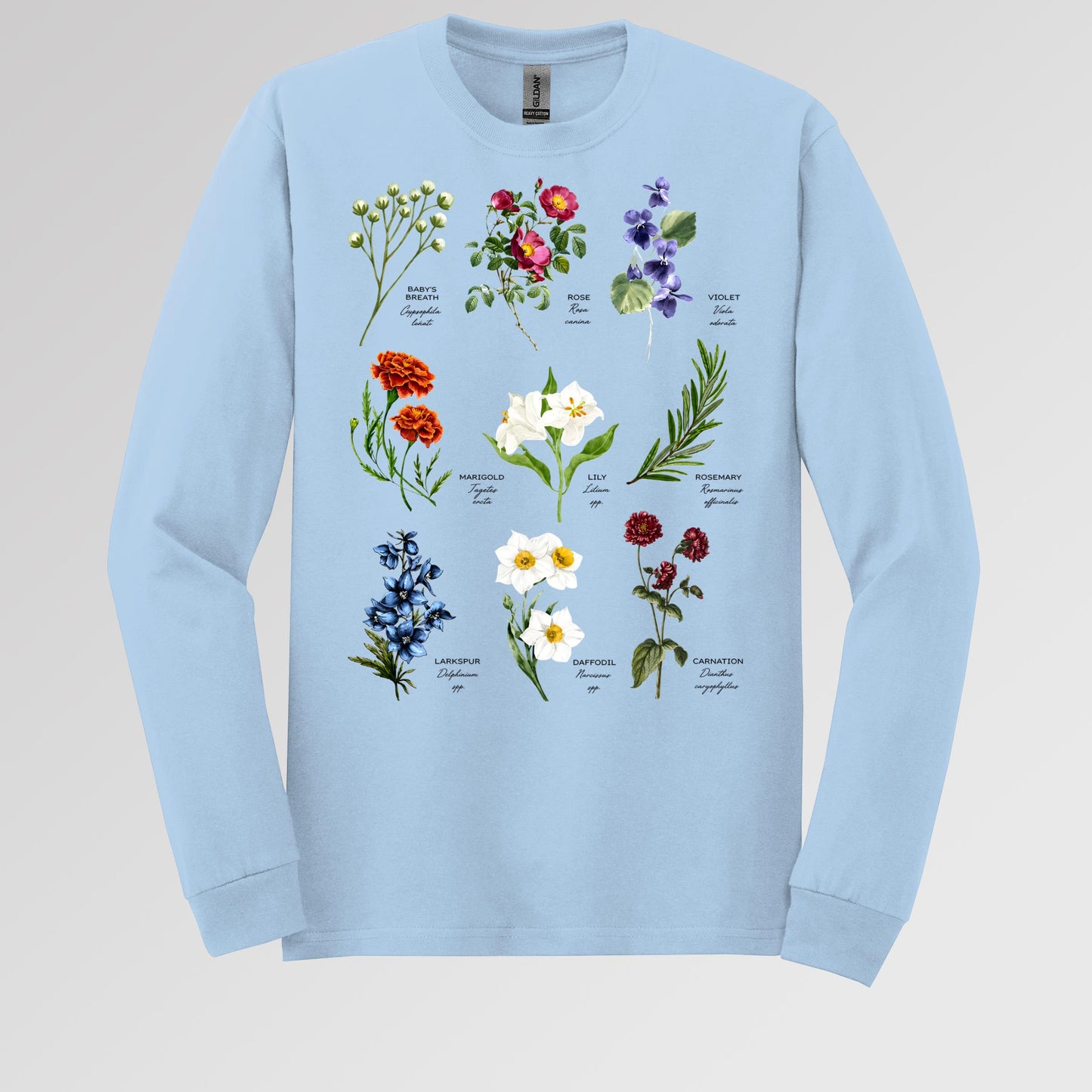 Floral Titles of Our Lady