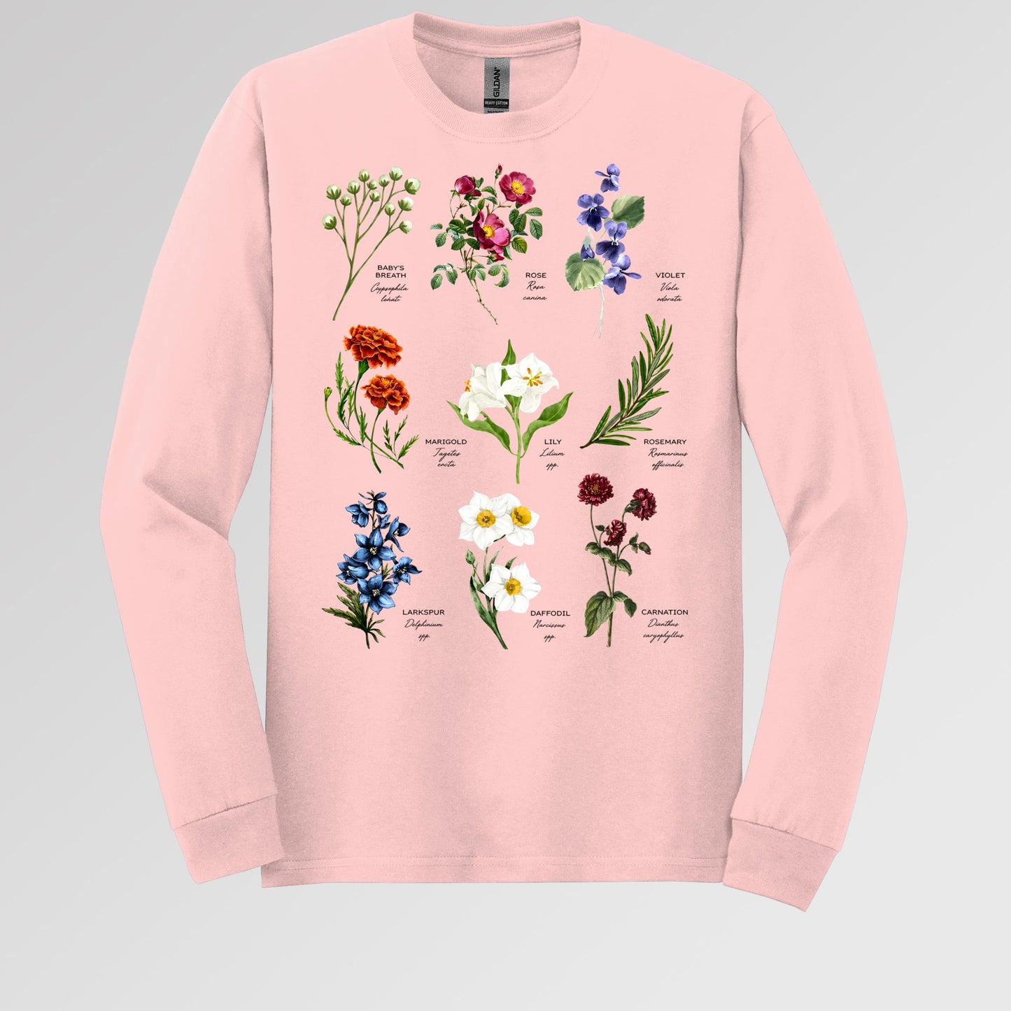 Floral Titles of Our Lady