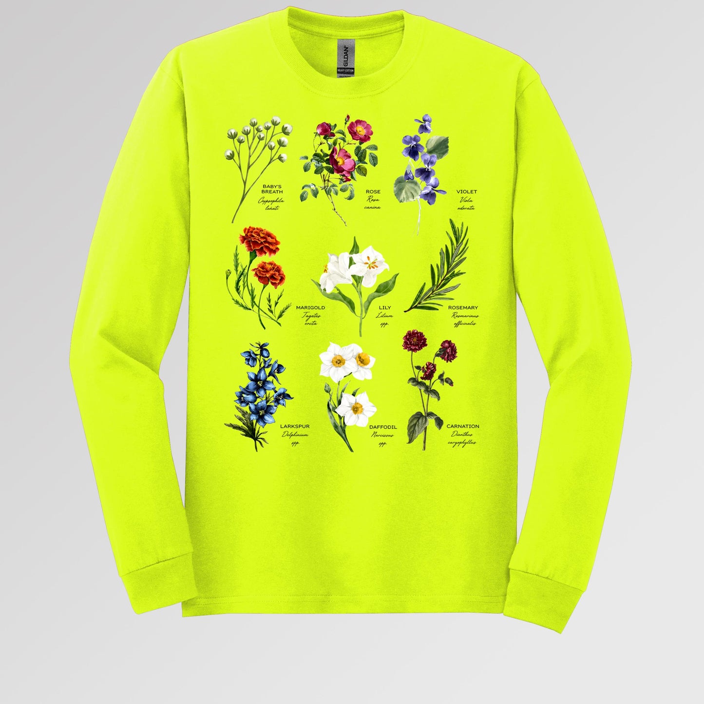 Floral Titles of Our Lady