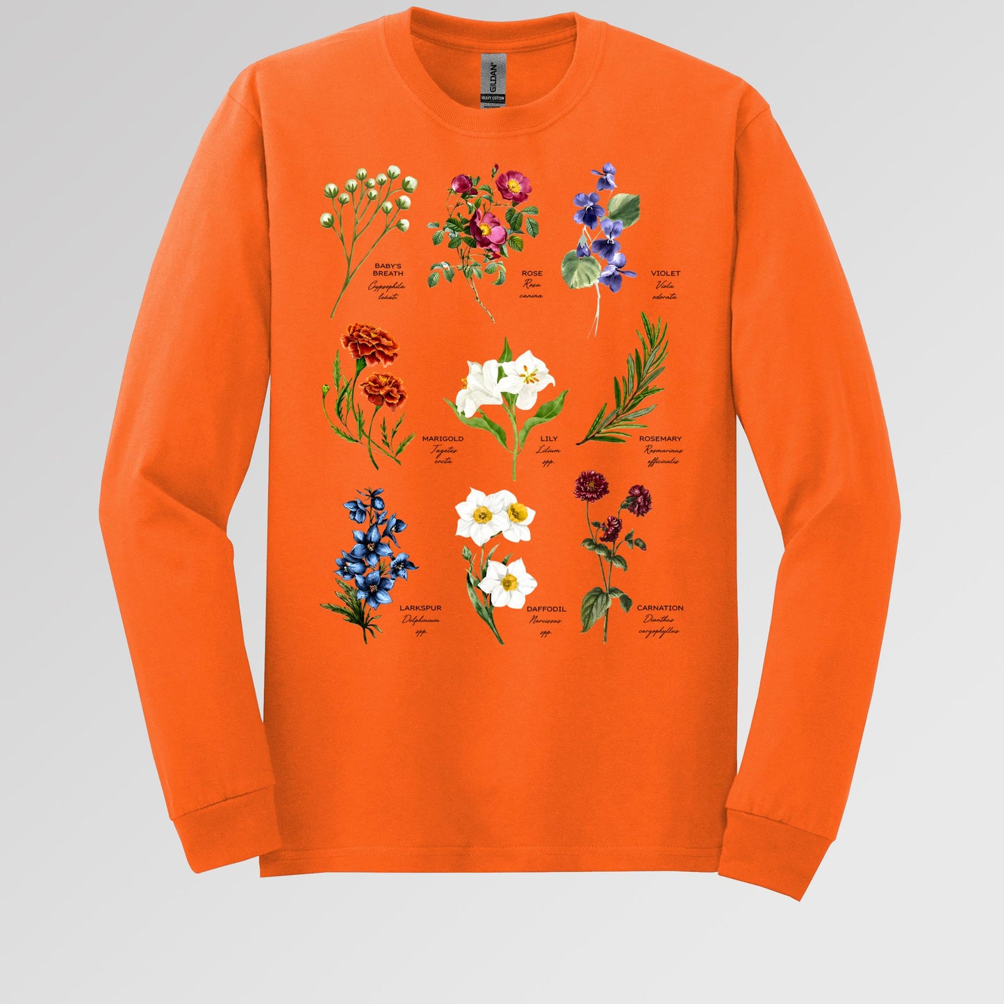 Floral Titles of Our Lady