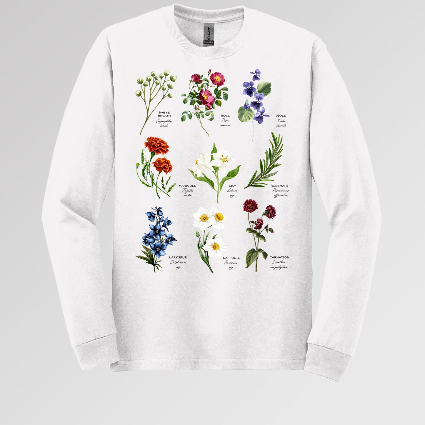 Floral Titles of Our Lady