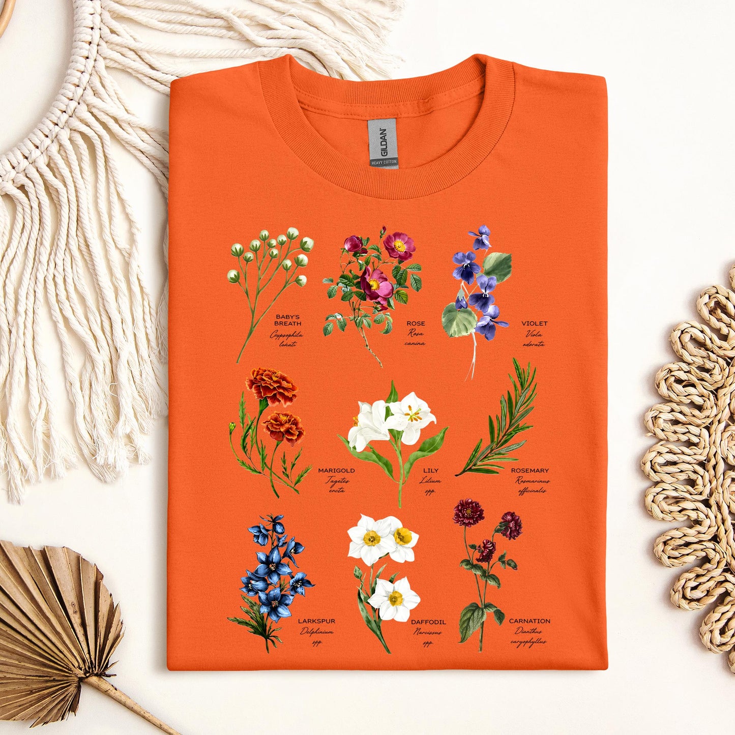 Floral Titles of Our Lady