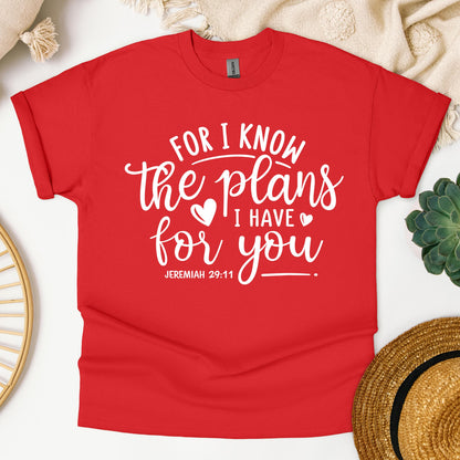 For I Know The Plans I Have For You Jeremiah 29.11 01