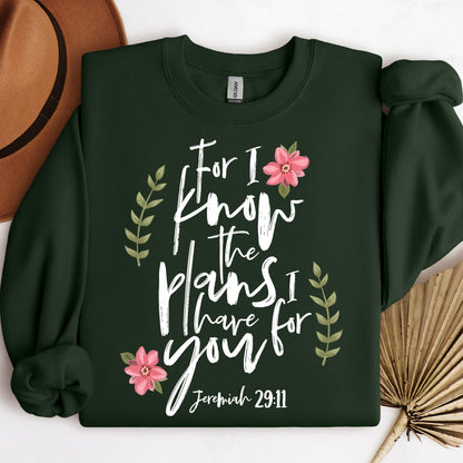 For I Know The Plans I Have For You Jeremiah 29.11 02