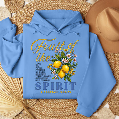 Fruit Of The Spirit Galatians 5.22-23 01