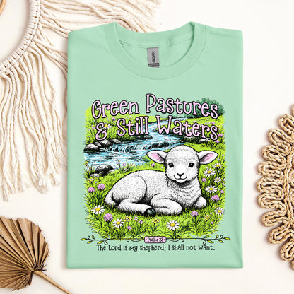 Green Pastures & Still Waters Psalm 23 The Lord Is My Shepherd I Shall Not Want 01