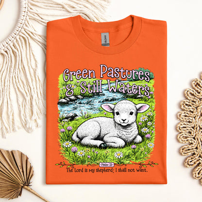 Green Pastures & Still Waters Psalm 23 The Lord Is My Shepherd I Shall Not Want 01