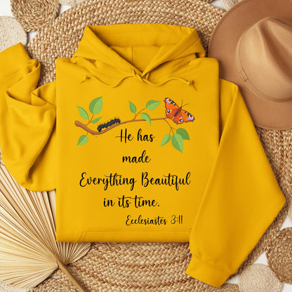 He Has Made Everything Beautiful In Its Time Ecclesiastes 3.11 16