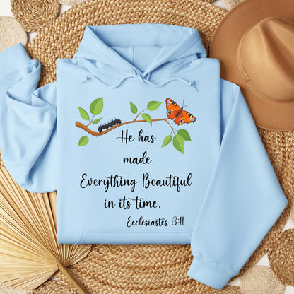 He Has Made Everything Beautiful In Its Time Ecclesiastes 3.11 16