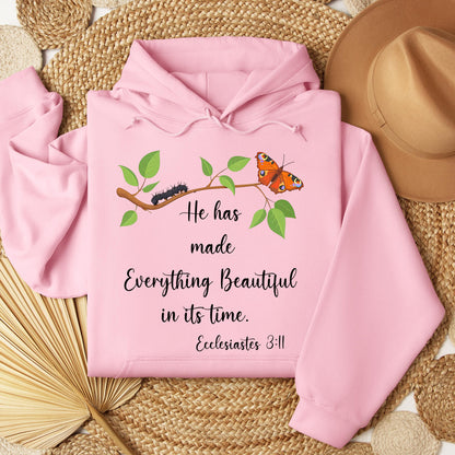 He Has Made Everything Beautiful In Its Time Ecclesiastes 3.11 16