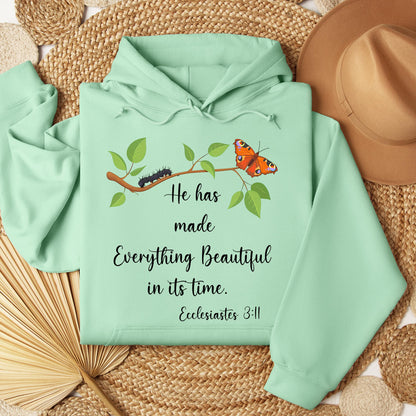 He Has Made Everything Beautiful In Its Time Ecclesiastes 3.11 16