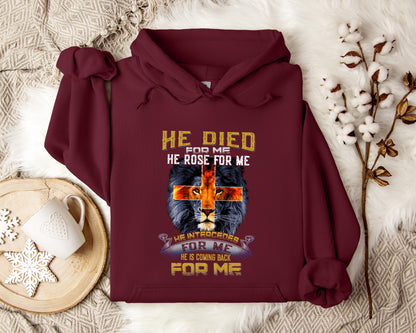 He Is Coming Back For Me Lion Hoodie