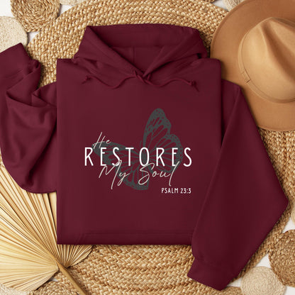 He Restores My Soul Psalm 23.3 03