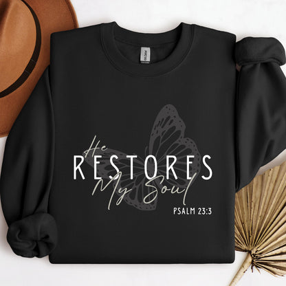 He Restores My Soul Psalm 23.3 03