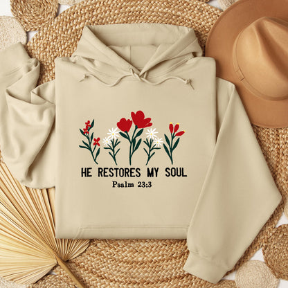 He Restores My Soul Psalm 23.3 04