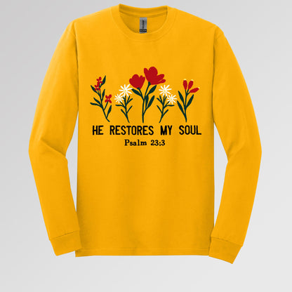 He Restores My Soul Psalm 23.3 04