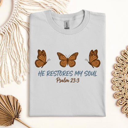 He Restores My Soul Psalm 23.3 05