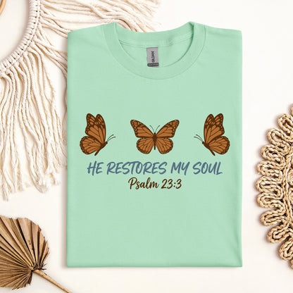 He Restores My Soul Psalm 23.3 05
