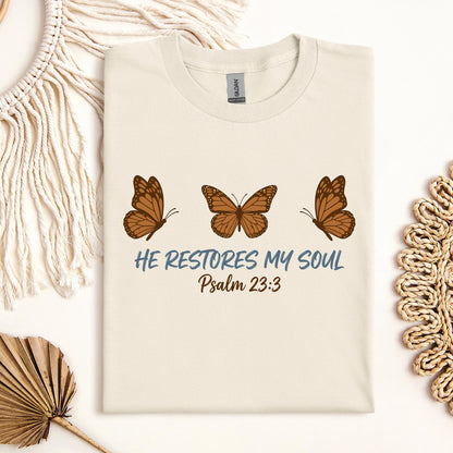 He Restores My Soul Psalm 23.3 05