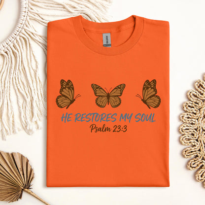 He Restores My Soul Psalm 23.3 05