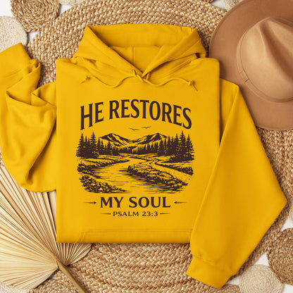 He Restores My Soul Psalm 23.3 08