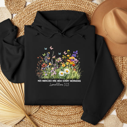 His Mercies Are New Every Morning Lamentations 3.23