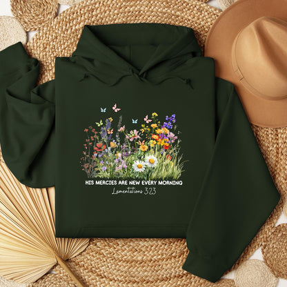 His Mercies Are New Every Morning Lamentations 3.23