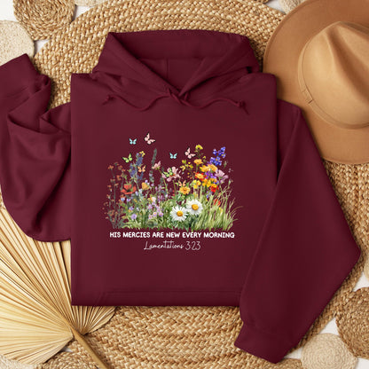 His Mercies Are New Every Morning Lamentations 3.23