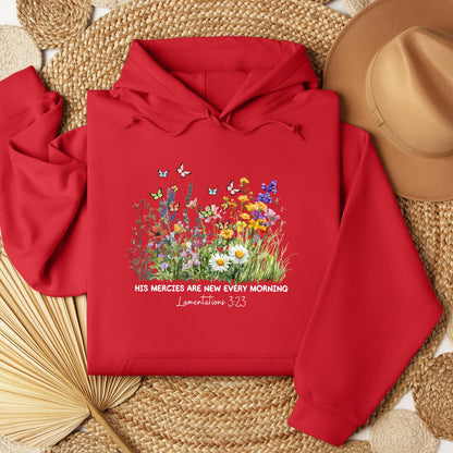 His Mercies Are New Every Morning Lamentations 3.23