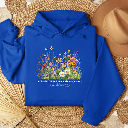 His Mercies Are New Every Morning Lamentations 3.23