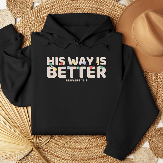 His Way Is Better Proverb 16.9