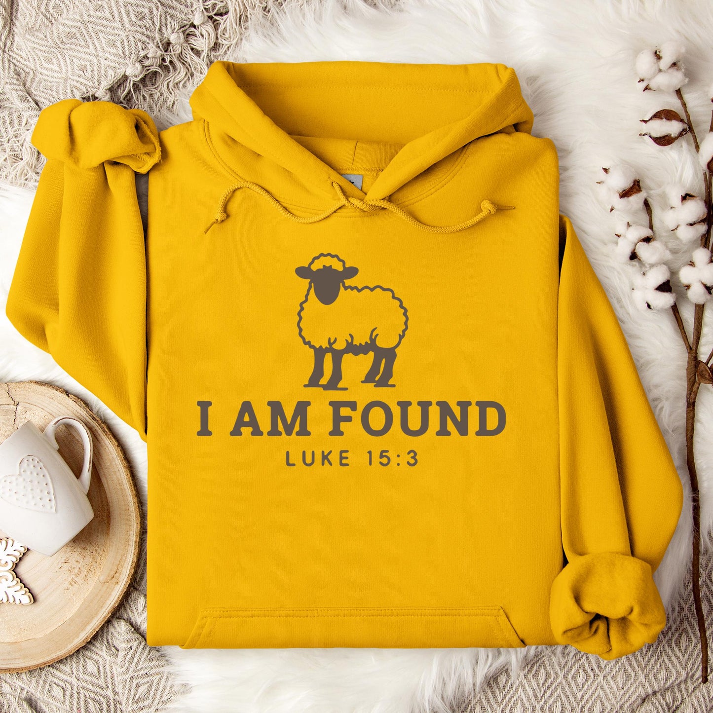 I Am Found Luke 15.3 Hoodie