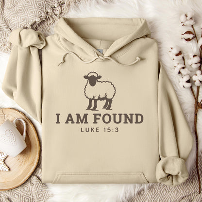 I Am Found Luke 15.3 Hoodie