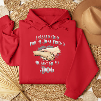 I Asked God For A Best Friend So He Sent Me My Dog