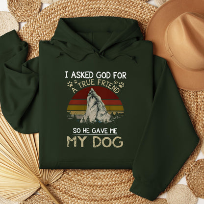 I Asked God For A True Friend So He Gave Me My Dog