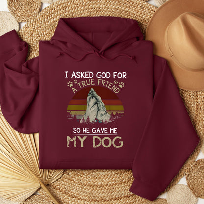 I Asked God For A True Friend So He Gave Me My Dog