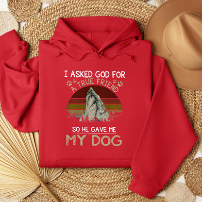 I Asked God For A True Friend So He Gave Me My Dog