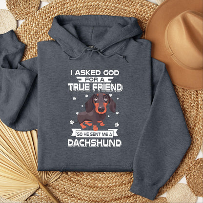 I Asked God For A True Friend So He Sent Me A Dachshund