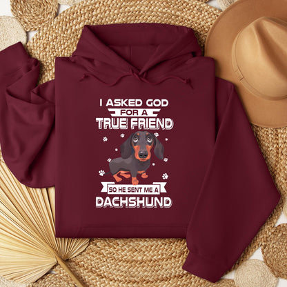 I Asked God For A True Friend So He Sent Me A Dachshund