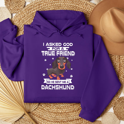 I Asked God For A True Friend So He Sent Me A Dachshund