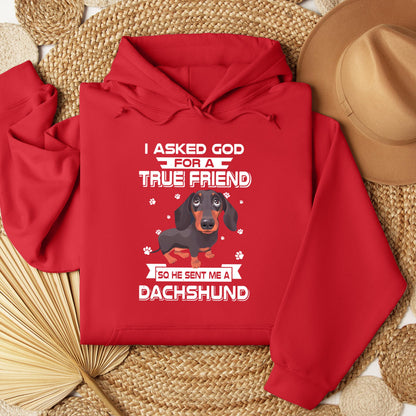 I Asked God For A True Friend So He Sent Me A Dachshund