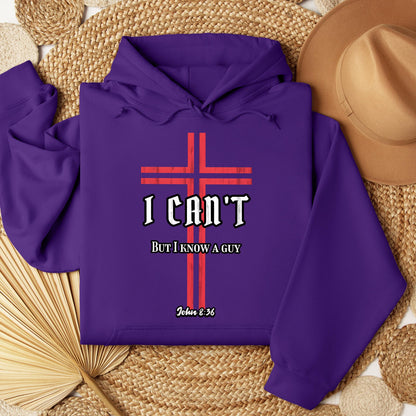 I Can't But I Know A Guy 15