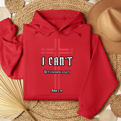 I Can't But I Know A Guy 15