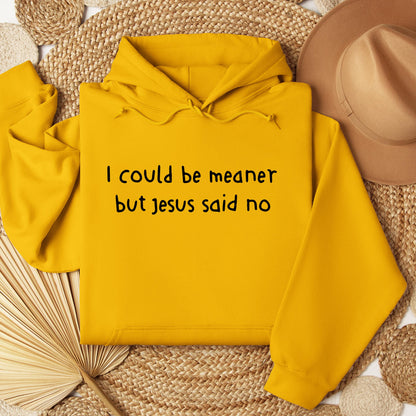 I Could Be Meaner But Jesus Said No