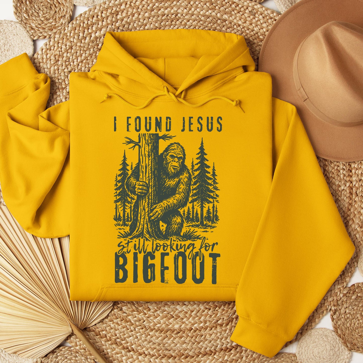 I found Jesus Still looking for Bigfoot 01