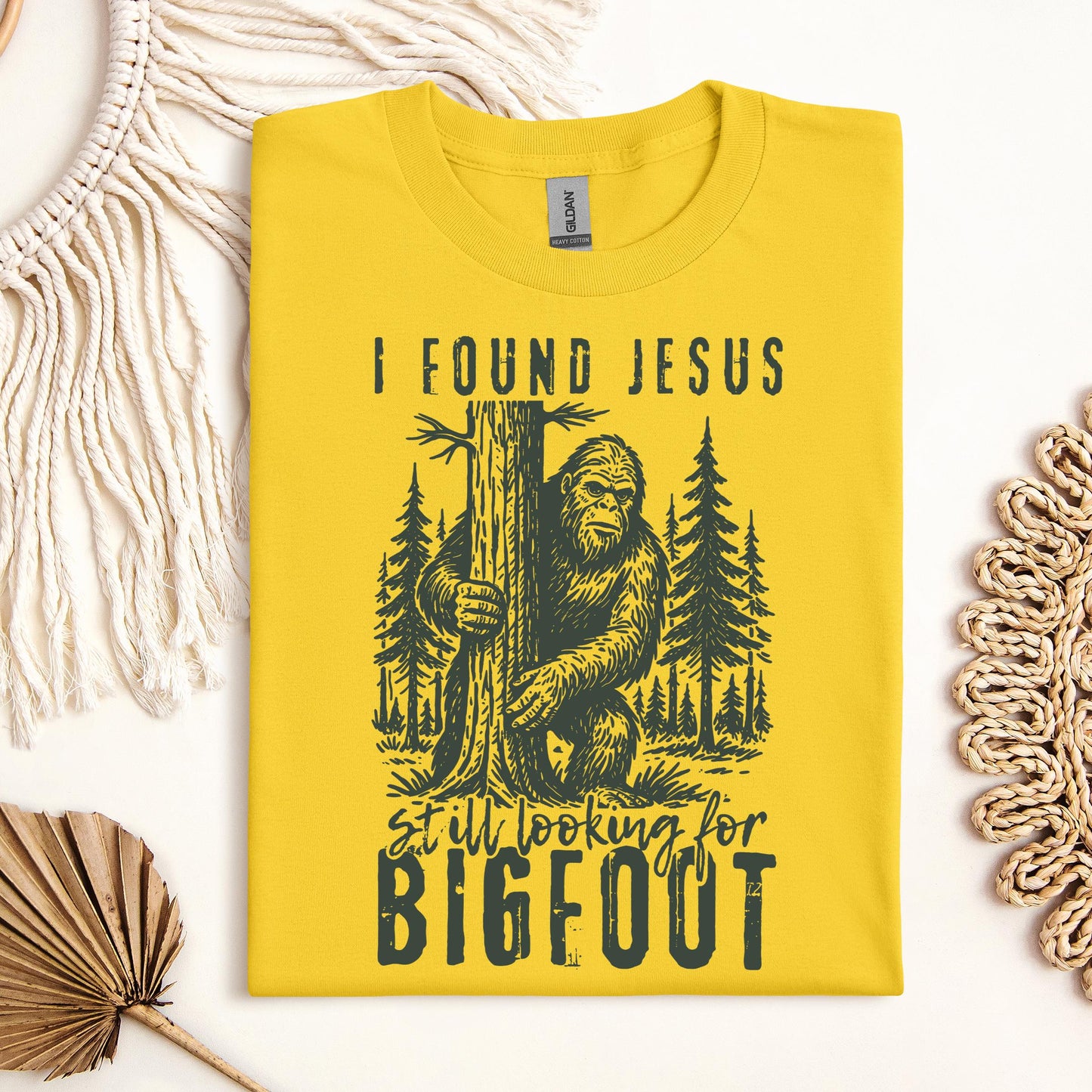 I found Jesus Still looking for Bigfoot 01