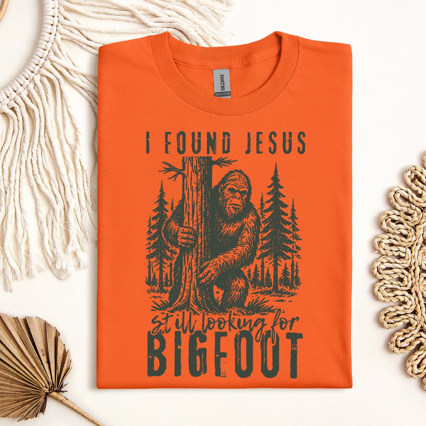 I found Jesus Still looking for Bigfoot 01