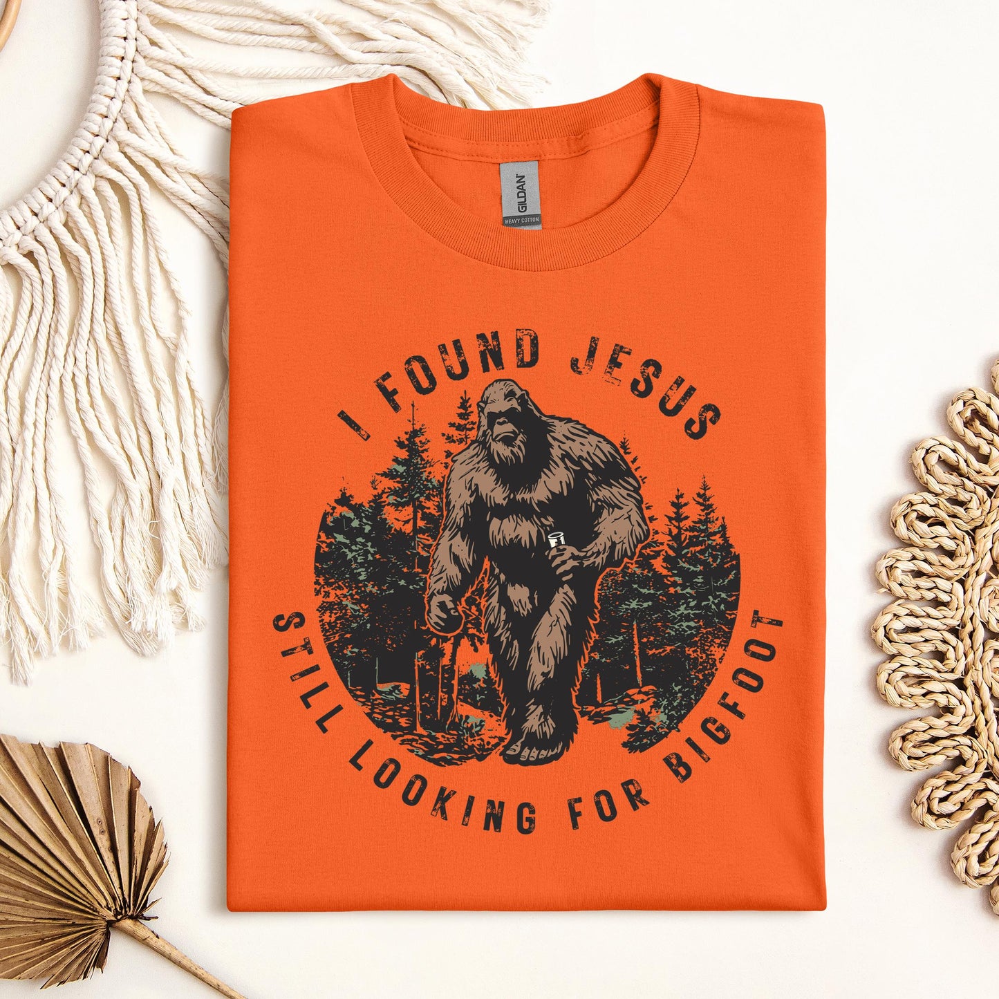 I found Jesus Still looking for Bigfoot 02