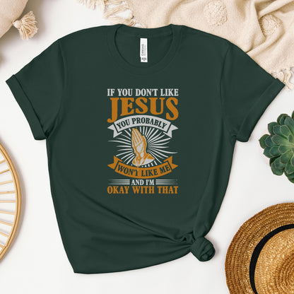 If You Don't Like Jesus You Probably Won't Like Me And I'm Okay With That