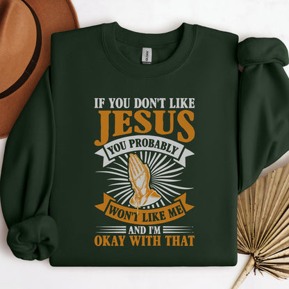 If You Don't Like Jesus You Probably Won't Like Me And I'm Okay With That